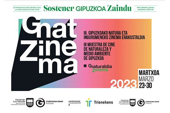 GNAT Zinema